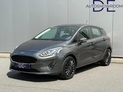 Grijs Gebruikt 2019 Ford Fiesta Trend Hatchback | € 10.900 (Goede deal)