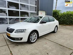Wit Gebruikt 2013 Skoda Octavia Business Line Hatchback | € 6.450 (Eerlijke prijs)