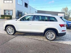 Wit Gebruikt 2022 Skoda Kodiaq SUV | € 31.000 (Goede deal)
