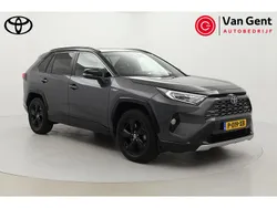 Grijs Gebruikt 2019 Toyota RAV4 SUV | € 33.999 (Eerlijke prijs)