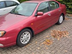 Rood Gebruikt 2000 Nissan Primera Sedan | € 1.250