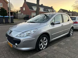 Grijs Gebruikt 2006 Peugeot 307 Hatchback | € 1.950 (Eerlijke prijs)
