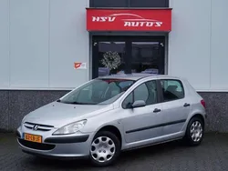 Grijs Gebruikt 2002 Peugeot 307 Hatchback | € 499 (Super prijs)