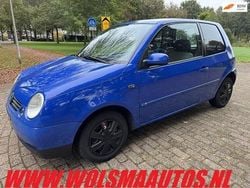 Blauw Gebruikt 2001 VW Lupo Comfortline Hatchback | € 499 (Goede deal)