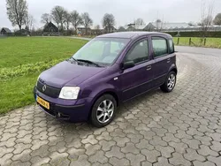Paars Gebruikt 2009 Fiat Panda Hatchback | € 2.999 (Eerlijke prijs)