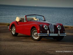 Rood Gebruikt 1955 Jaguar XK Cabriolet | € 135.000