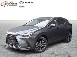 Grijs Gebruikt 2024 Lexus NX450h+ SUV | € 75.495