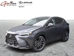 Grijs Nieuw 2024 Lexus NX450h+ SUV | € 75.495 (Iets duurder)