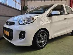 Wit Gebruikt 2016 Kia Picanto Hatchback | € 7.650 (Eerlijke prijs)