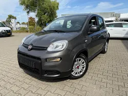 Grijs Gebruikt 2023 Fiat Panda Hatchback | € 15.745 (Duur)