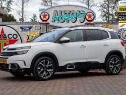 Wit (metallic) Gebruikt 2019 Citroën C5 Aircross Business Class SUV | € 16.950
