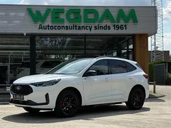 Wit Nieuw 2025 Ford Kuga ST-Line X SUV | € 47.870 (Eerlijke prijs)