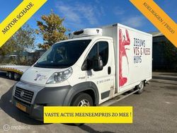 Wit Gebruikt 2012 Fiat Ducato Van | € 3.250 (Duur)