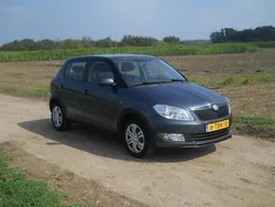 Grijs Gebruikt 2014 Skoda Fabia Hatchback | € 7.250 (Goede deal)