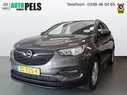 Grijs Gebruikt 2019 Opel Grandland X Business SUV | € 13.900 (Eerlijke prijs)
