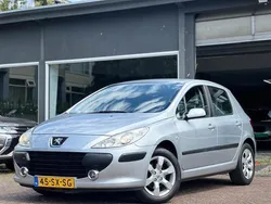 Grijs Gebruikt 2006 Peugeot 307 Hatchback | € 2.999 (Eerlijke prijs)