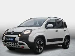 Wit Nieuw 2024 Fiat Panda Cross Cross Hatchback | € 19.189 (Iets duurder)