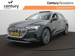 Grijs Gebruikt 2020 Audi e-tron Business SUV | € 30.900 (Goede deal)