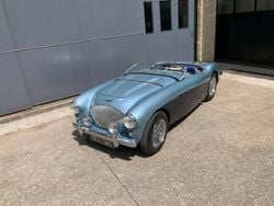 Anders Gebruikt 1954 Austin-Healey 100 Cabriolet | € 100.000