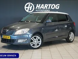 Grijs Gebruikt 2010 Skoda Fabia Dynamic Hatchback | € 3.440 (Eerlijke prijs)