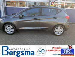 Grijs Gebruikt 2019 Ford Fiesta Trend Hatchback | € 8.499 (Eerlijke prijs)