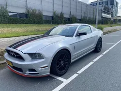 Grijs Gebruikt 2014 Ford Mustang Coupé | € 18.500 (Eerlijke prijs)