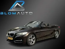 Bruin Gebruikt 2015 BMW 220 Comfort Edition Cabriolet | € 17.890 (Goede deal)