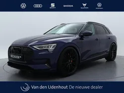 Blauw Gebruikt 2020 Audi e-tron Business SUV | € 29.950 (Eerlijke prijs)