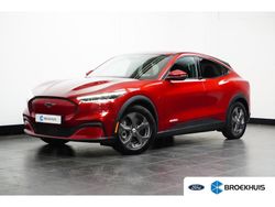 Rood Gebruikt 2021 Ford Mustang SUV | € 29.900