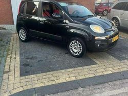 Zwart Gebruikt 2013 Fiat Panda Lounge Hatchback | € 3.000 (Super prijs)