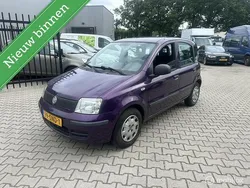 Paars Gebruikt 2011 Fiat Panda Hatchback | € 1.950 (Eerlijke prijs)