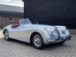 Zilver Gebruikt 1953 Jaguar XK Cabriolet | € 95.900