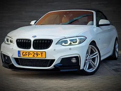 Wit Gebruikt 2019 BMW 230 Executive Cabriolet | € 28.950