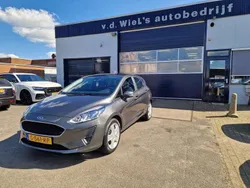 Grijs Gebruikt 2019 Ford Fiesta Trend Hatchback | € 10.850 (Goede deal)