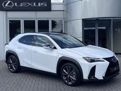 Wit Nieuw 2025 Lexus UX 300h SUV | € 53.089