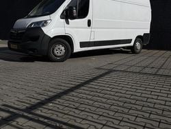 Wit Gebruikt 2022 Opel Movano Edition Van | € 15.500 (Goede deal)