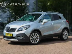 Grijs Gebruikt 2014 Opel Mokka Cosmo SUV | € 11.900 (Eerlijke prijs)
