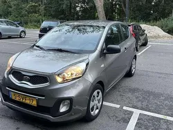 Grijs Gebruikt 2013 Kia Picanto Hatchback | € 1.750 (Super prijs)