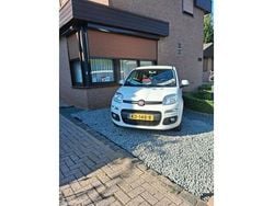 Wit Gebruikt 2016 Fiat Panda Lounge Hatchback | € 6.950 (Super prijs)