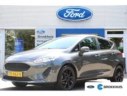 Grijs Gebruikt 2018 Ford Fiesta Trend Hatchback | € 10.200 (Iets duurder)
