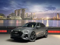 Grijs Gebruikt 2019 Audi e-tron S-Line SUV | € 28.950 (Iets duurder)