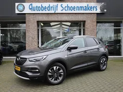 Grijs Gebruikt 2020 Opel Grandland X Innovation SUV | € 20.940 (Eerlijke prijs)