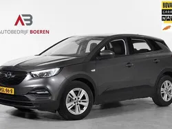 Grijs Gebruikt 2021 Opel Grandland X Edition SUV | € 22.495 (Goede deal)