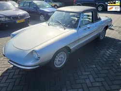 Grijs Gebruikt 1977 Alfa Romeo Spider Veloce Cabriolet | € 17.950