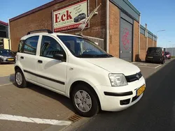 Wit Gebruikt 2008 Fiat Panda Hatchback | € 1.950 (Eerlijke prijs)