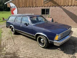 Blauw Gebruikt 1981 Chevrolet Malibu Stationwagen | € 6.450