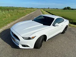 Wit Gebruikt 2017 Ford Mustang Coupé | € 26.750 (Super prijs)