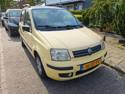 Geel Gebruikt 2005 Fiat Panda Hatchback | € 1.950 (Eerlijke prijs)