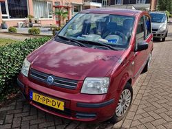 Rood Gebruikt 2004 Fiat Panda Dynamic Hatchback | € 600 (Goede deal)