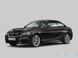Zwart Gebruikt 2018 BMW 218 Executive Coupé | € 24.740 (Iets duurder)